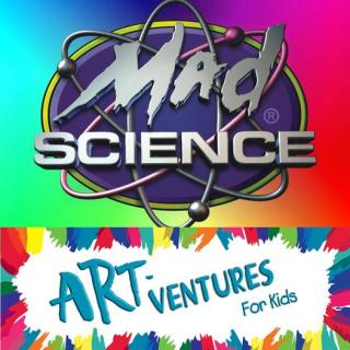 mad science and art ventures