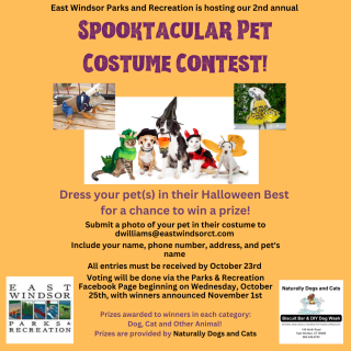 spooktacular pet costume contest