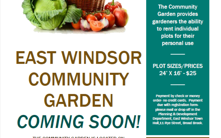 Community Garden 2023